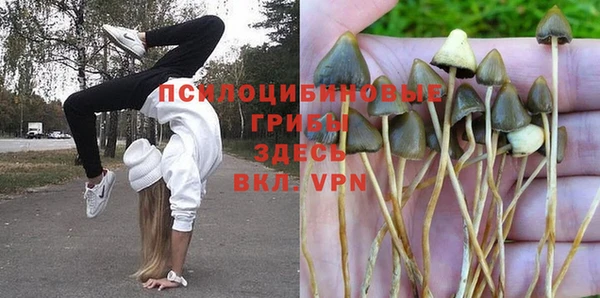 метадон Алексеевка