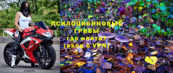 соль курить ск Алзамай