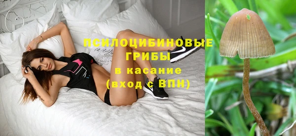 соль курить ск Алзамай